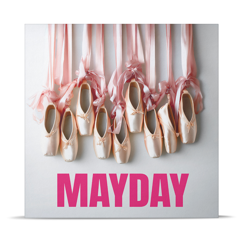 Mayday — изображение 2